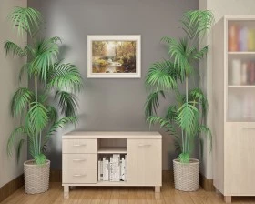 Кабинет руководителя Фёст / First images