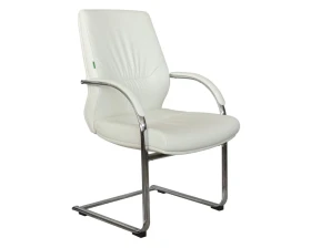 Кресло RV ДИЗАЙН Алваро-СФ / Alvaro-SF (C 1815) images