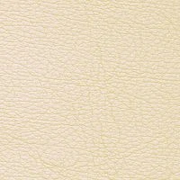 CONSUL-Canvas-1510-Y40R